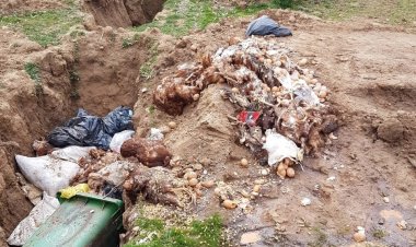 Ambientalistas denuncian vertido de residuos orgánicos y basura al interior del sector Bello Horizonte en el Valle del Ancoa de Linares