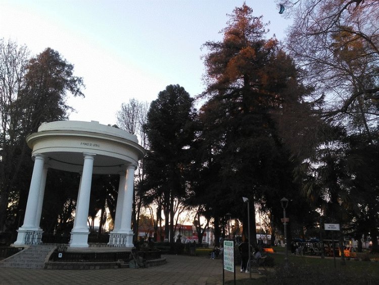 Eduardo de la Fuente Ceroni: “La joya de Linares: los árboles de la plaza”