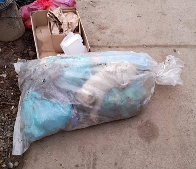 Repudio generalizado por caso de gatito vivo que fue dejado en una bolsa de basura en Linares