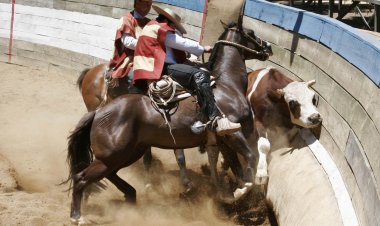 (Audio) Mario Meza, alcalde de Linares:  Yo voy a defender el rodeo ahora y siempre