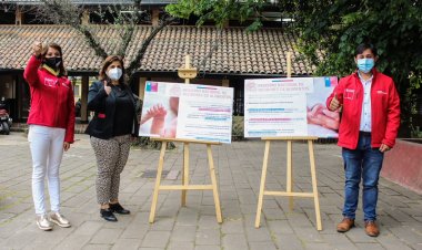 Fortalecen información respeto a promulgación de Ley que crea el Registro de Deudores de Pensiones de Alimentos