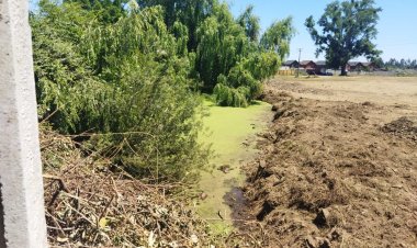 (VIDEO) Concejales Rojas y Castro denuncian grave daño al humedal urbano "Ayüwün" de Linares