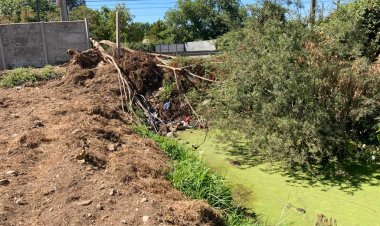 Denuncian nuevo y grave daño al humedal “Ayüwün” de Linares