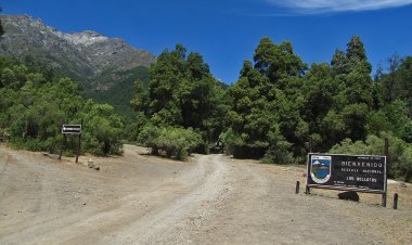 Municipio de Linares decide limitar acceso a la Reserva Nacional Los Bellotos del Melado