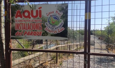 (AUDIO) Casa Noé, Mundo Animal de Linares construye baños inclusivos y comienzan trabajos de ampliación