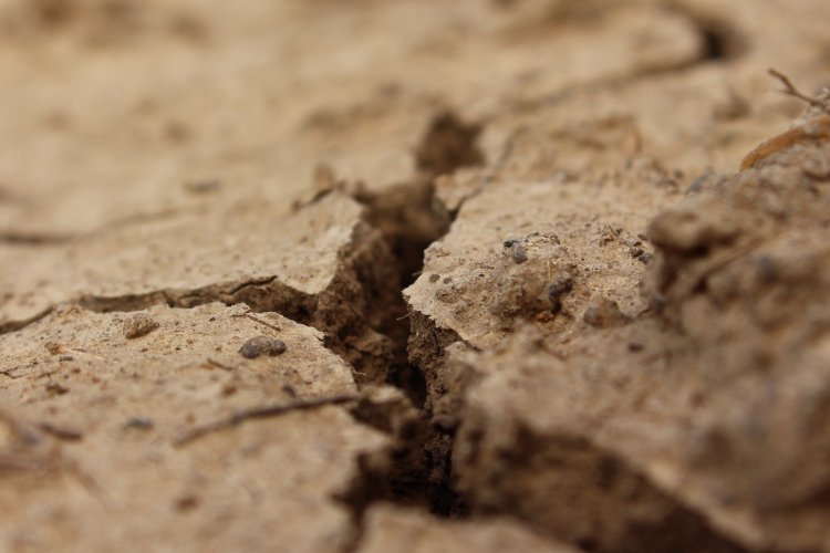 Experto advierte que sequía en el Maule alcanzará niveles críticos en 2022