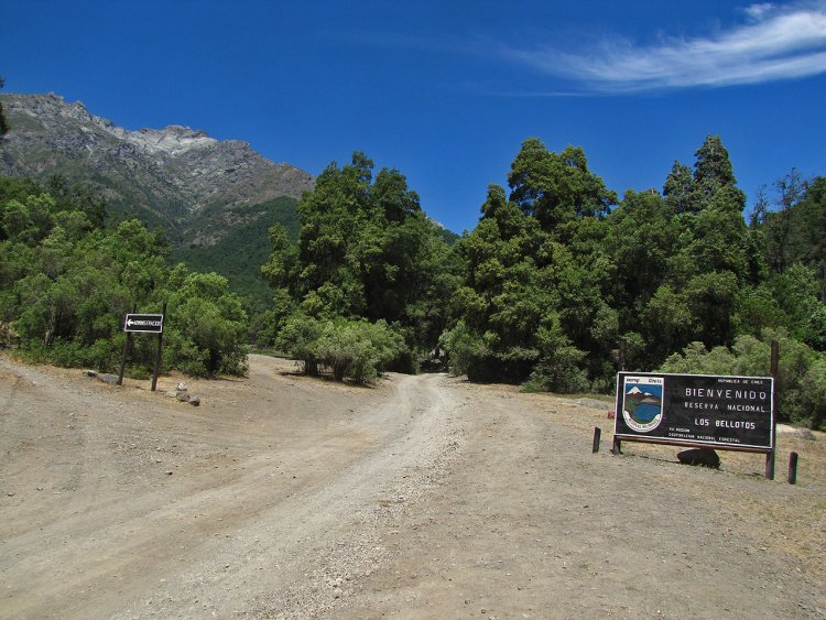 Municipio de Linares decide limitar acceso a la Reserva Nacional Los Bellotos del Melado