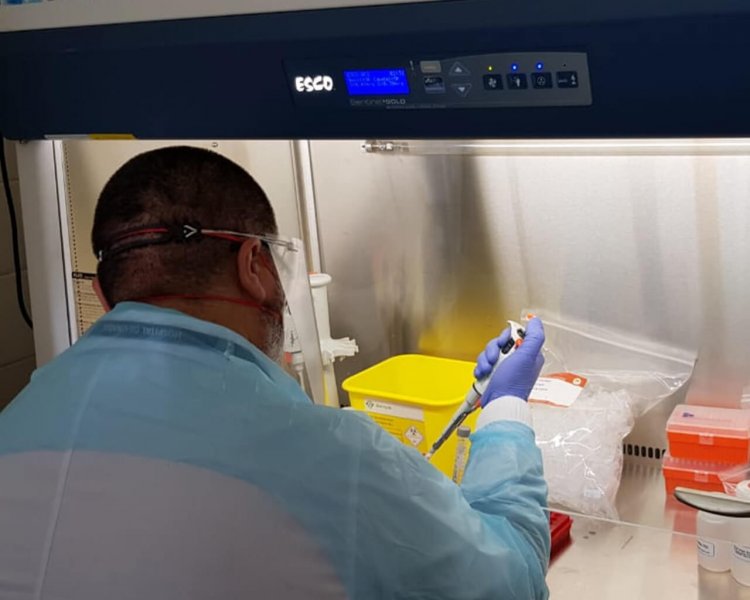 Linares: hospital base duplicó personal en laboratorio para subsanar retrasos en resultados PCR