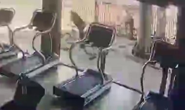 (VIDEO) Descarados: roban bicicletas desde frontis de gimnasio y a plena luz del día