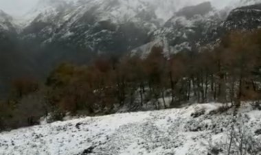 Nevazones y crecidas de ríos mantienen aislados a un grupo de arrieros al interior del Santuario de la Naturaleza Achibueno de Linares