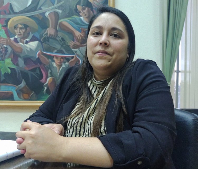 Priscila Verónica González Carrillo: la historia y prioridades de la delegada presidencial en Linares