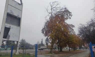 Concejales de oposición se rebelan y cuestionan compra de 7.2 hectáreas de la ex Iansa Planta Linares