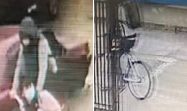 (AUDIO) Roban diversas especies desde la oficina del concejal linarense Marco Ávila