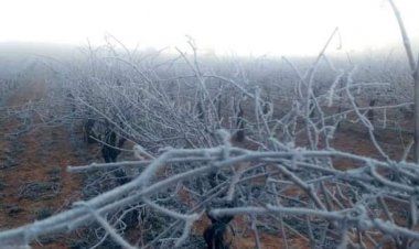 Invierno 2022: expertos proyectan heladas de hasta -7°C en el valle central
