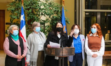 Diputada Veloso denuncia campaña del terror de la SNA contra la Nueva Constitución