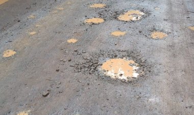 Senadora Rincón denuncia caminos intransitables en Machicura: Pide a Gobierno activar a Globales