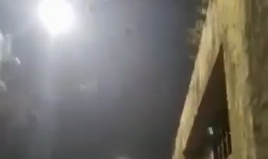 (VIDEO SENSIBLE) Plaga de murciélagos preocupa a vecinos del sector Nuevo Amanecer