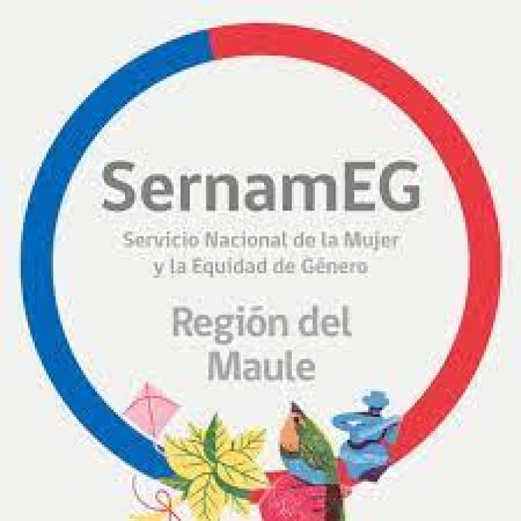 Declaración  pública SernamEG Región del Maule por denuncia de usuaria contra Casa de Acogida para víctimas de Violencia Intrafamiliar en Linares