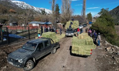 Municipio realizó operativo relámpago en la zona de Melado al interior de Colbún