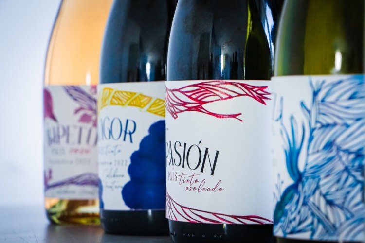 Tres viñas de San Javier recibieron propuestas de nuevas etiquetas para sus vinos