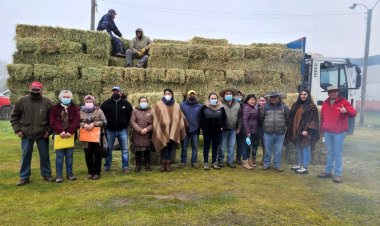Municipalidad de Colbún finalizó entrega de fardos 2022