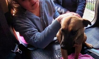 La historia con final feliz de la perrita que fue laceada en el área poniente de Linares