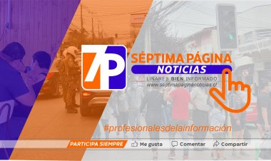 Séptima Página Noticias: la mejor estrategia comercial en el Maule