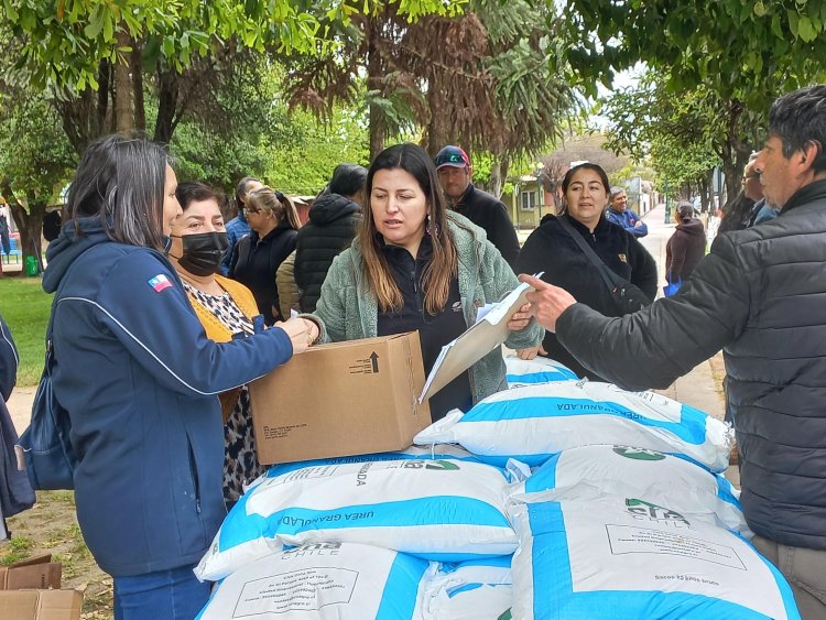 Usuarios de Indap de Villa Alegre recibieron fertilizantes de Siembra por Chile