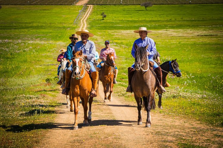 Viña Saavedra lanzó cabalgatas que unen el turismo y el vino