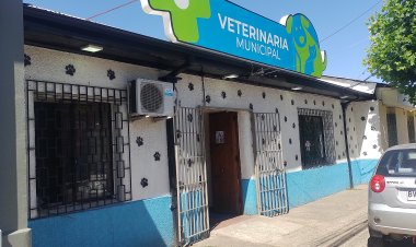 Piden investigar presuntas irregularidades en la Clínica Médico Veterinaria Municipal de Linares