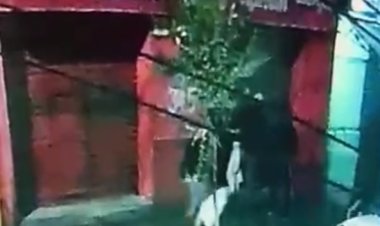 (VIDEO) Caraduras roban más de 10 millones de pesos en cigarrillos desde confitería ubicada en el centro de Linares