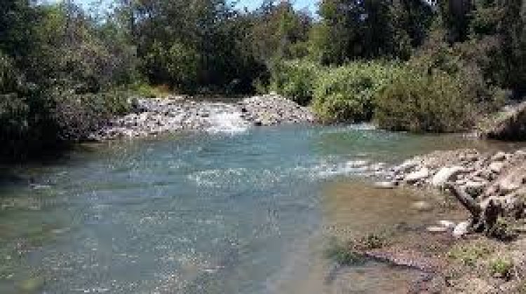 Hombre muere ahogado en el río Ancoa