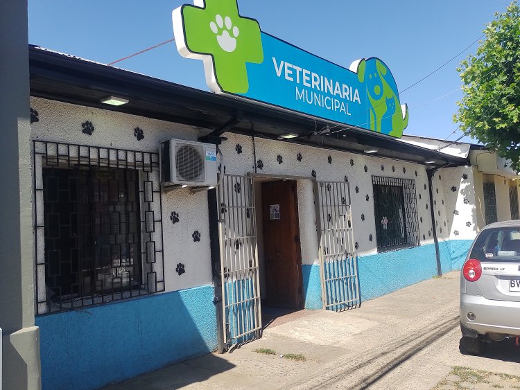 Piden investigar presuntas irregularidades en la Clínica Médico Veterinaria Municipal de Linares