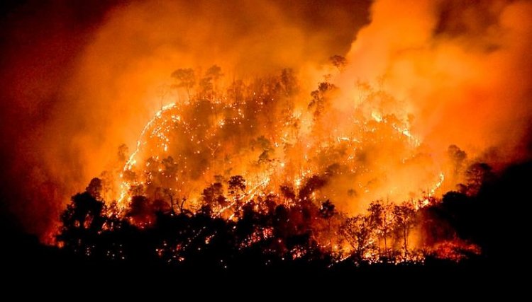 Senadora propone ampliar 5 por ciento de emergencia de GOREs para enfrentar incendios forestales