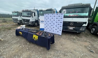 39 imputados quedan en prisión preventiva tras operativo por sustracción de madera en la Región del Maule