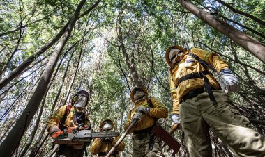 CONAF y CORMA llaman a prevenir incendios ante pronóstico de altas temperaturas