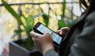 Especialista entrega recomendaciones para no caer en las redes del “phishing”