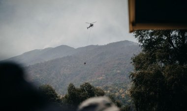Seremi del Medio Ambiente durante incendio forestal de Longaví advierte afectación de unos de los bosques más añosos del Maule