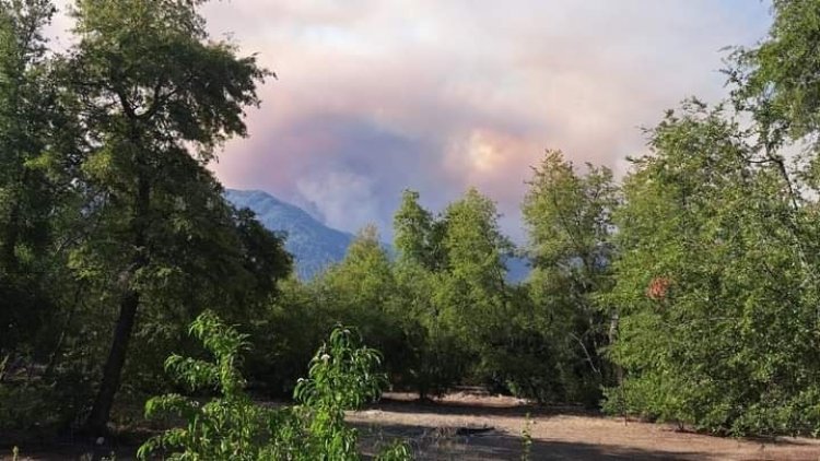 Incendios forestales avanzan hacia la Región del Maule: decretan alerta roja para Chanco y Cauquenes y alerta amarilla para la comuna de Longaví