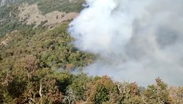 Gobierno asegura que incendio forestal de río Blanco está contenido en un 95 por ciento