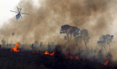 CORMA se reúne con fiscal nacional y entrega antecedentes de 731 denuncias y querellas por incendios