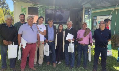 INIA Raihuén presenta nuevo boletín de berries durante exitoso Día de Campo