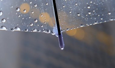 Sistema frontal y ola polar: sepa cuándo inician y las temperaturas que se podrían producir