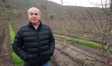 Ola polar en Chile afecta duramente a cítricos y paltos, y se extiende por gran parte del territorio frutícola