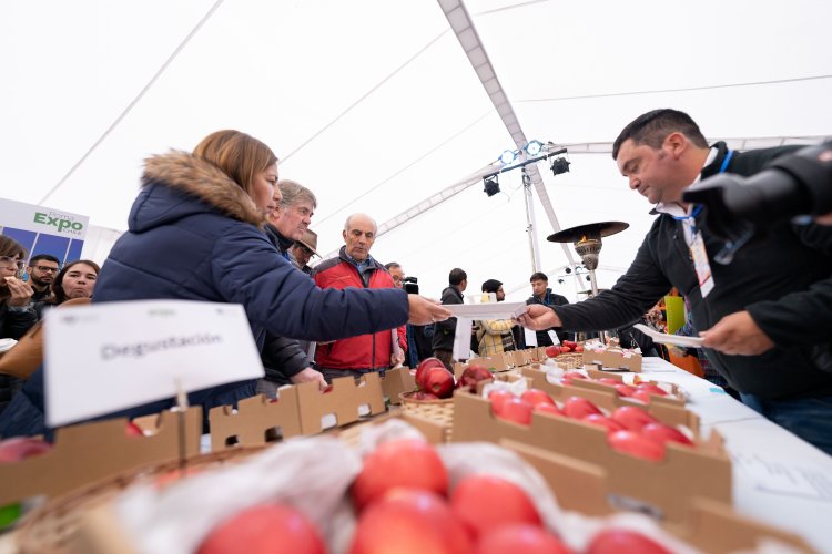 Investigadores desarrollarán nuevas variedades de manzanas y peras resistentes a climas cálidos