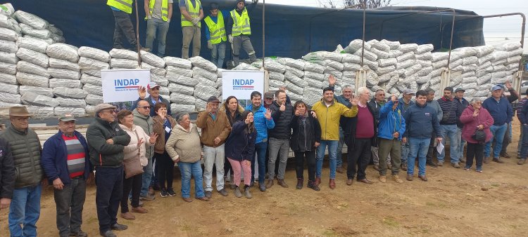 INDAP Maule ha entregado 675 toneladas de cubos de alfalfa a usuarios afectados por mega temporal