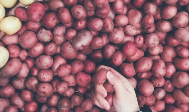 Especulación del mercado y menor oferta generarían alzas  en el precio de las hortalizas