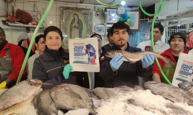 Sernapesca destaca gran cumplimiento de la veda de la merluza común