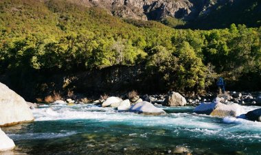 Comenzó a operar Comité de Administración Santuario de la Naturaleza Río Achibueno en Linares