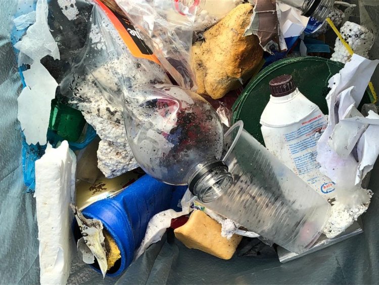 En Chanco se realizará jornada de Limpieza de Playas para abordar problemática de residuos marinos y microplásticos